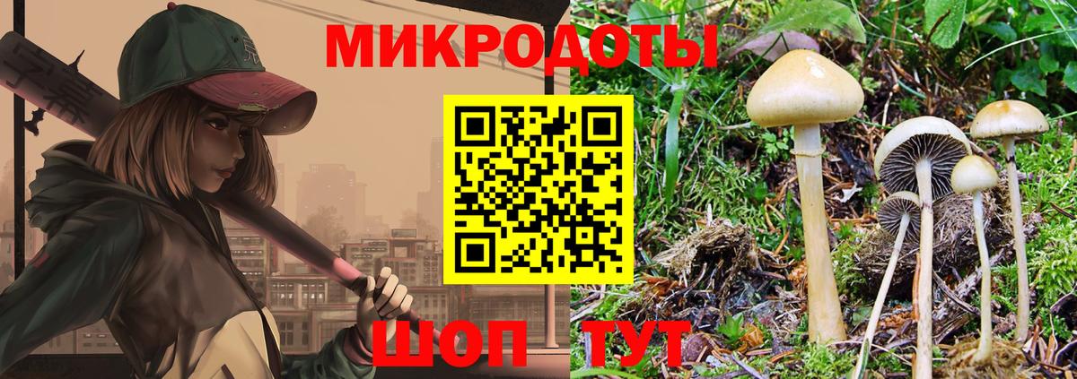 Нижнекамск  Псилоцибиновые грибы Psilocybine cubensis  Псилоцибиновые грибы GOLDEN TEACHER  Вход с VPN 